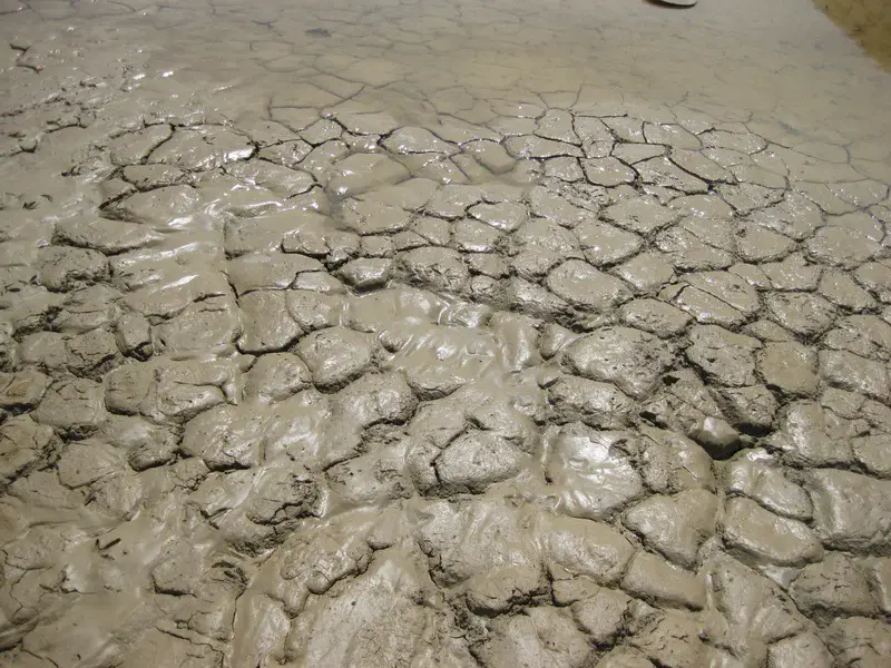 Soil waterlogging