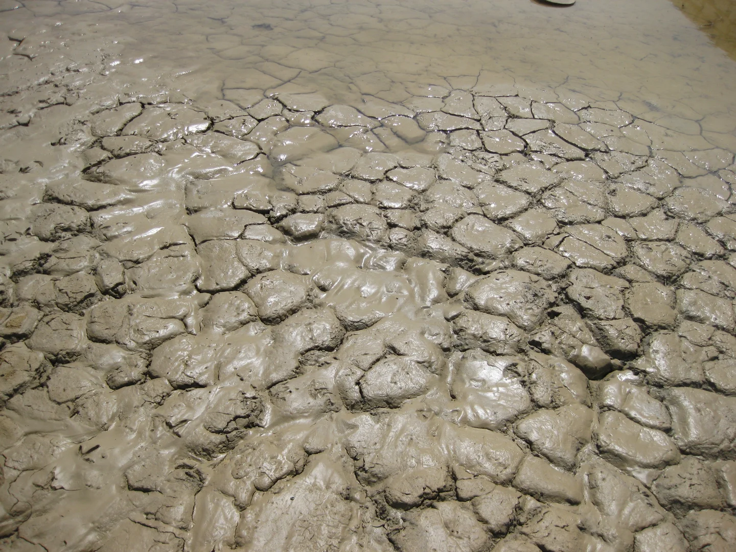 Soil waterlogging