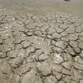 Soil waterlogging