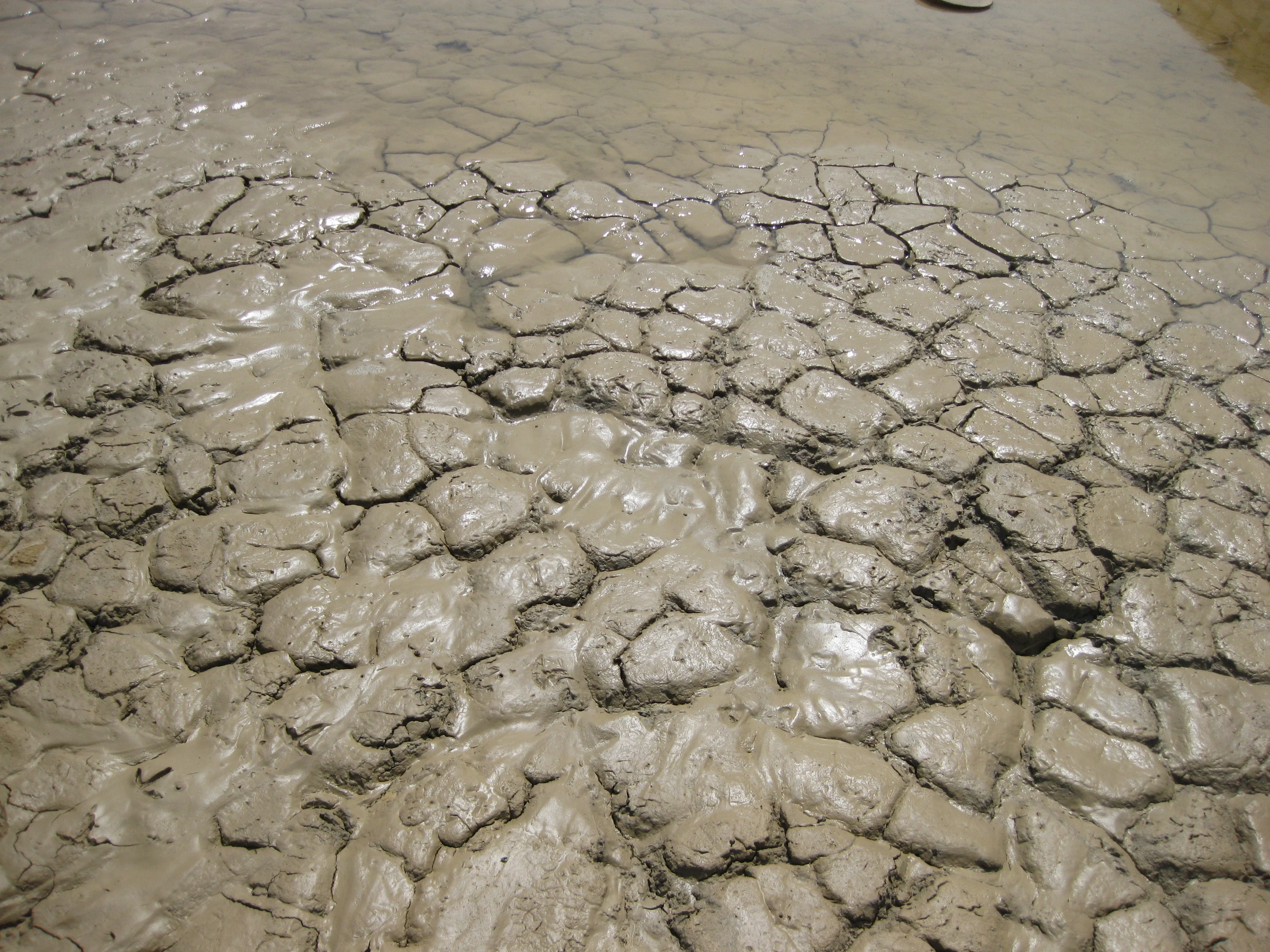 Soil waterlogging