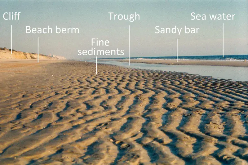Beach morphology