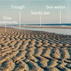 Beach morphology