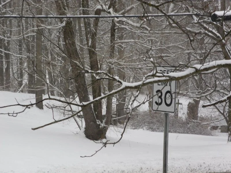 Upstate New York Snow