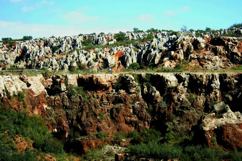 Stone forest (Cerro del Hierro)