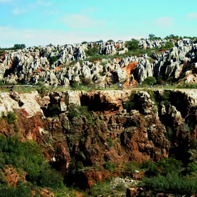 Stone forest (Cerro del Hierro)