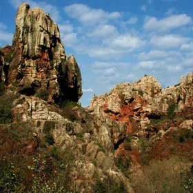 Stone forest (Cerro del Hierro)