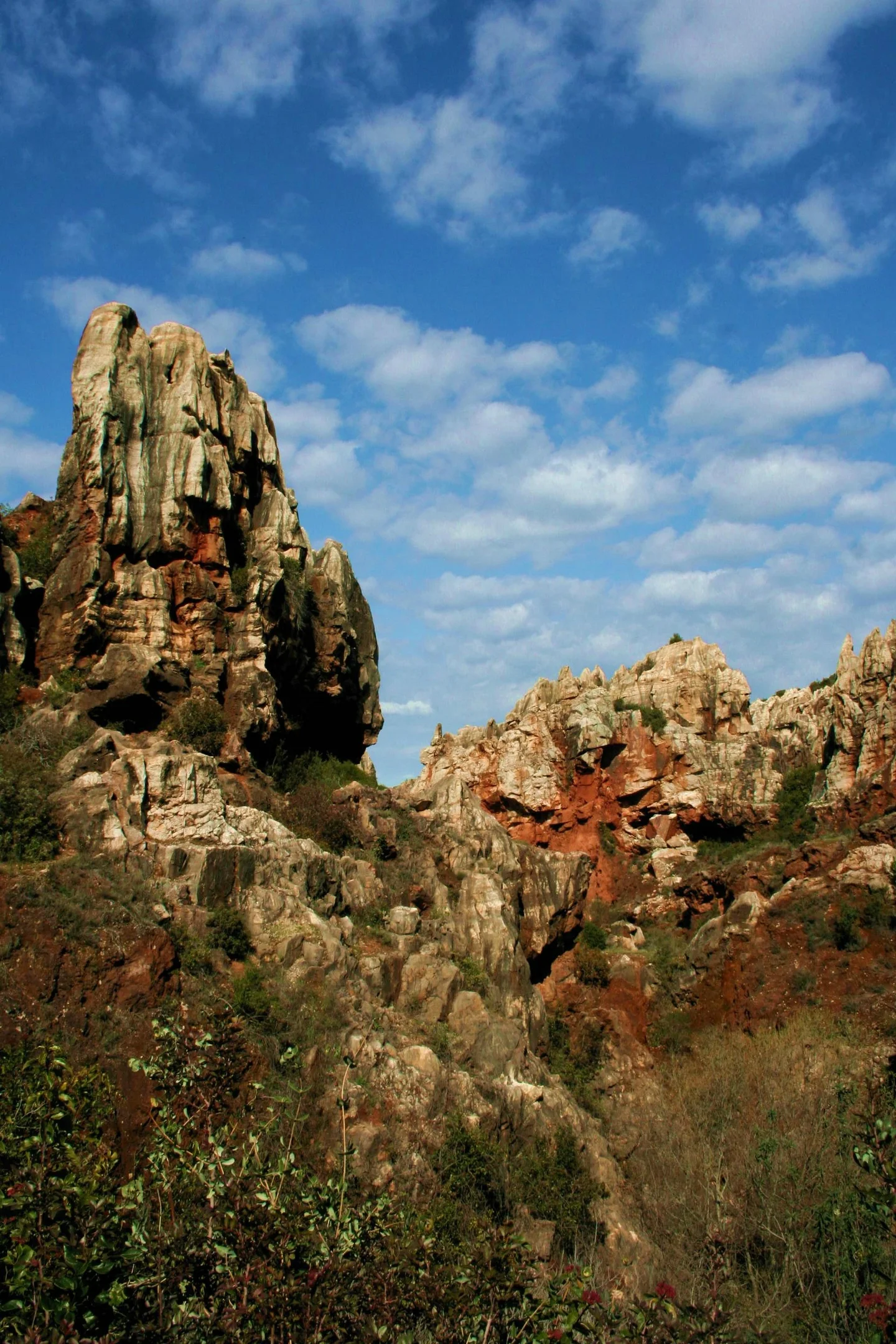 Stone forest (Cerro del Hierro)