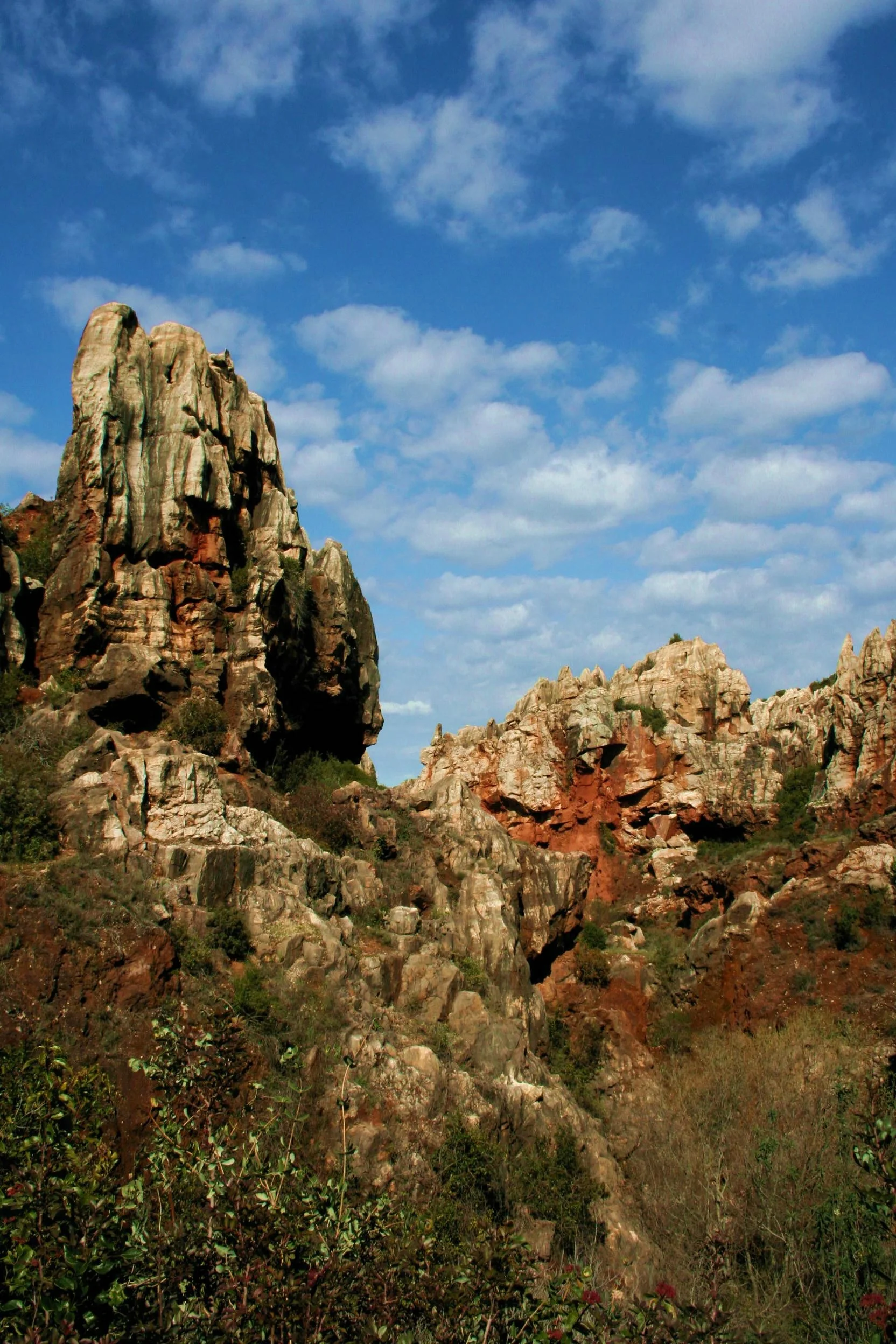 Stone forest (Cerro del Hierro)