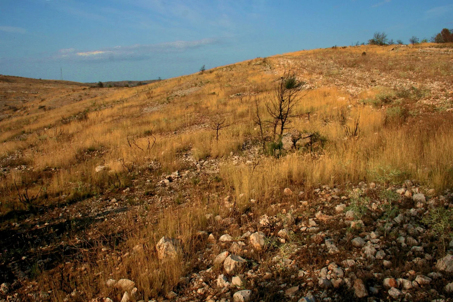 Burned soil