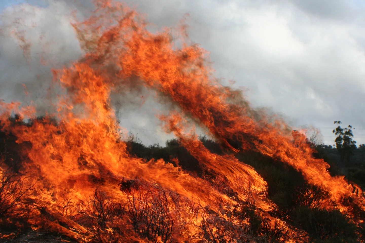 Experimental burn