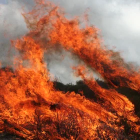 Experimental burn