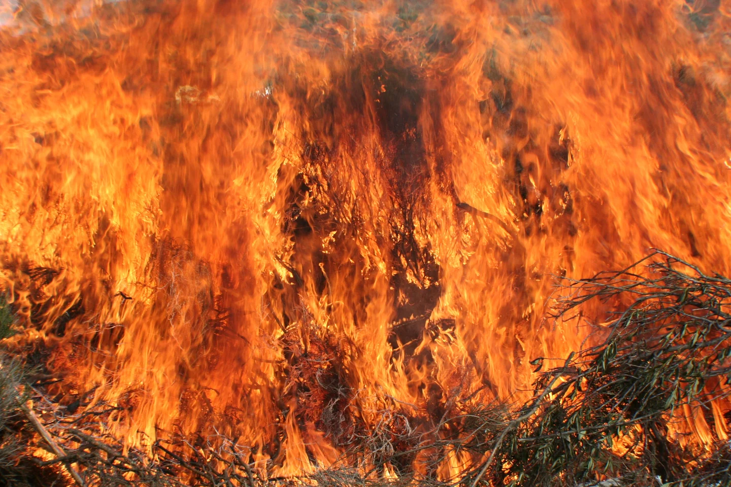 When fire runs