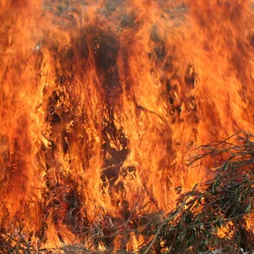 When fire runs