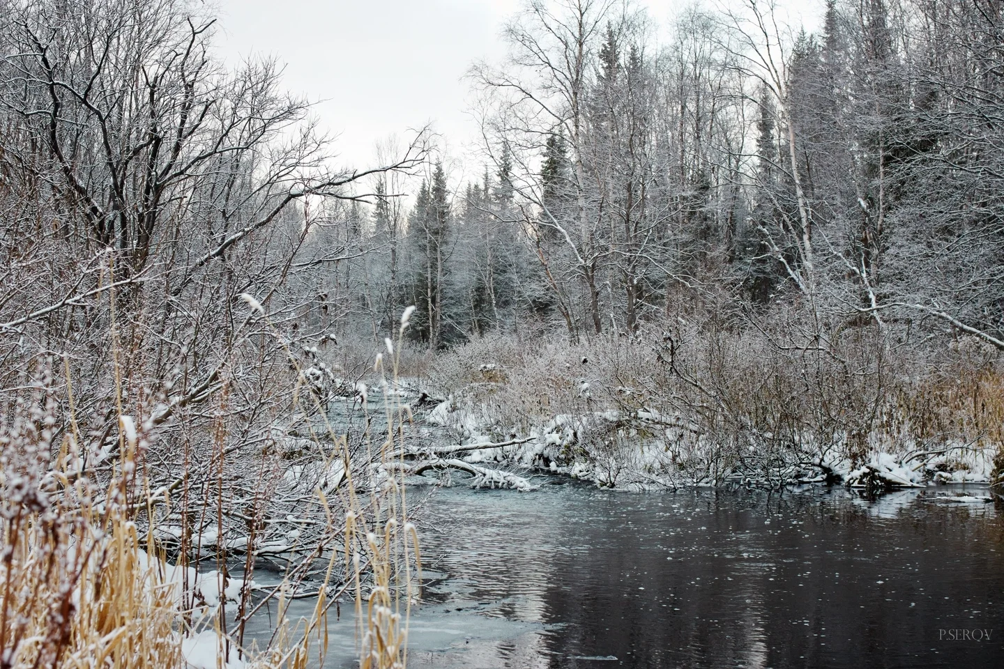 Khibina winter