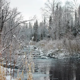 Khibina winter