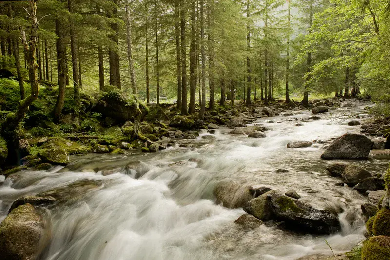 Masino river