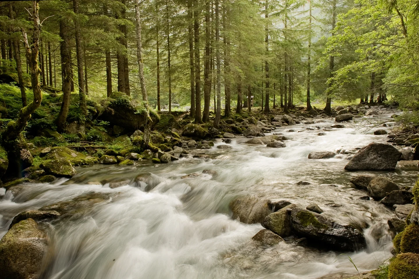 Masino river