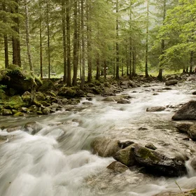 Masino river