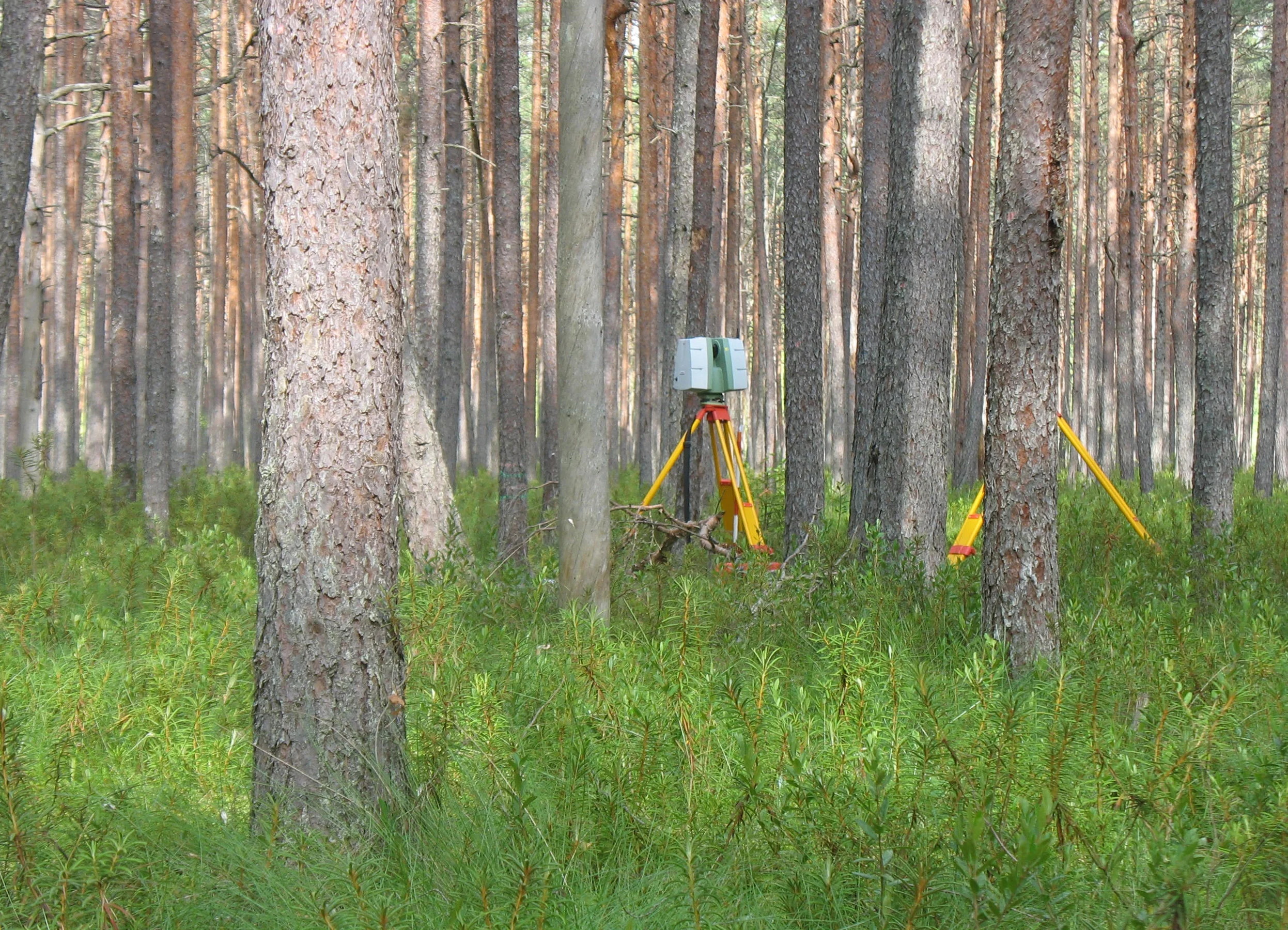 Secret inhabitants of the forest
