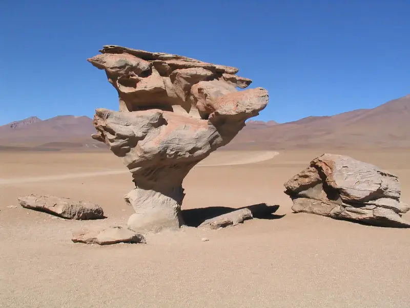 Árbol de Piedra