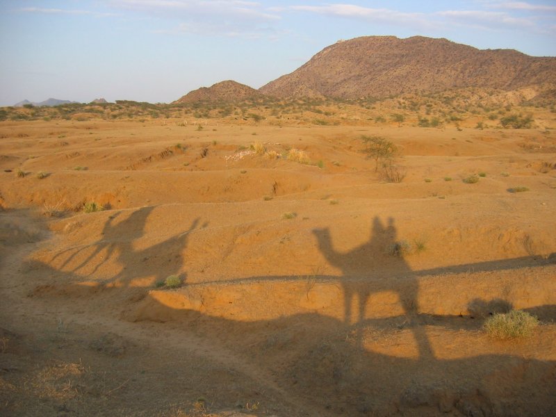 Thar desert, India