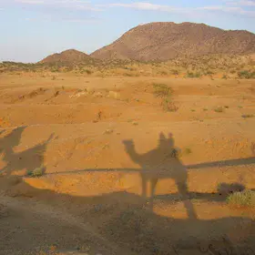 Thar desert, India