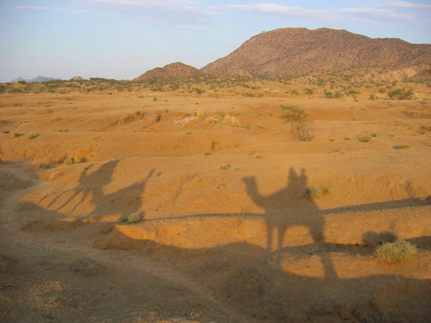 Thar desert, India