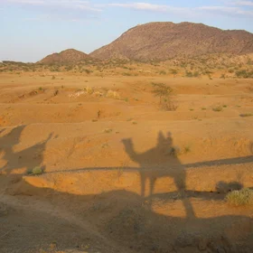Thar desert, India