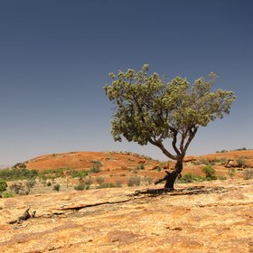 Exfoliation at "Mini Uluru"