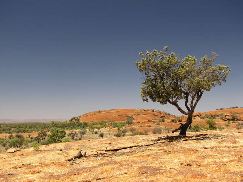 Exfoliation at "Mini Uluru"