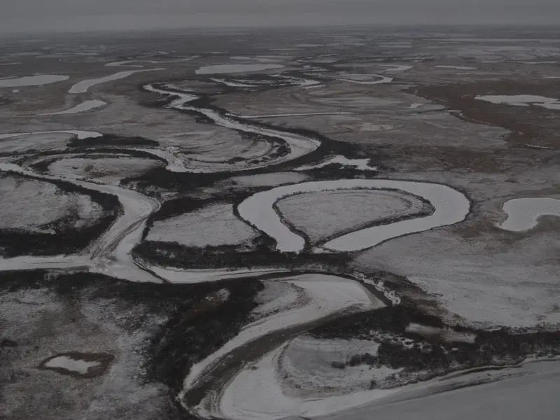 Yamal's art