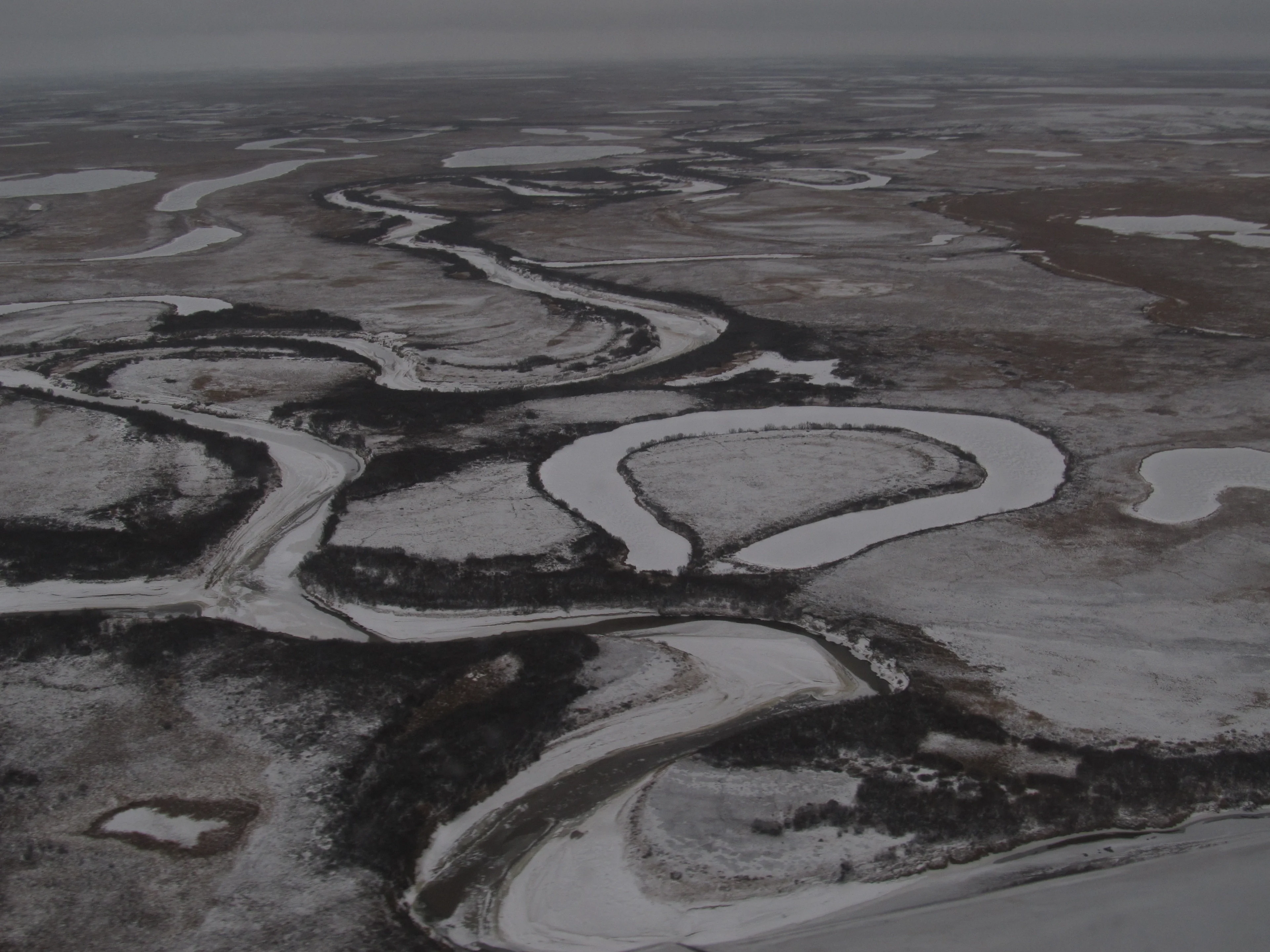 Yamal's art