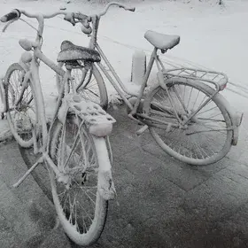Cycle in snow