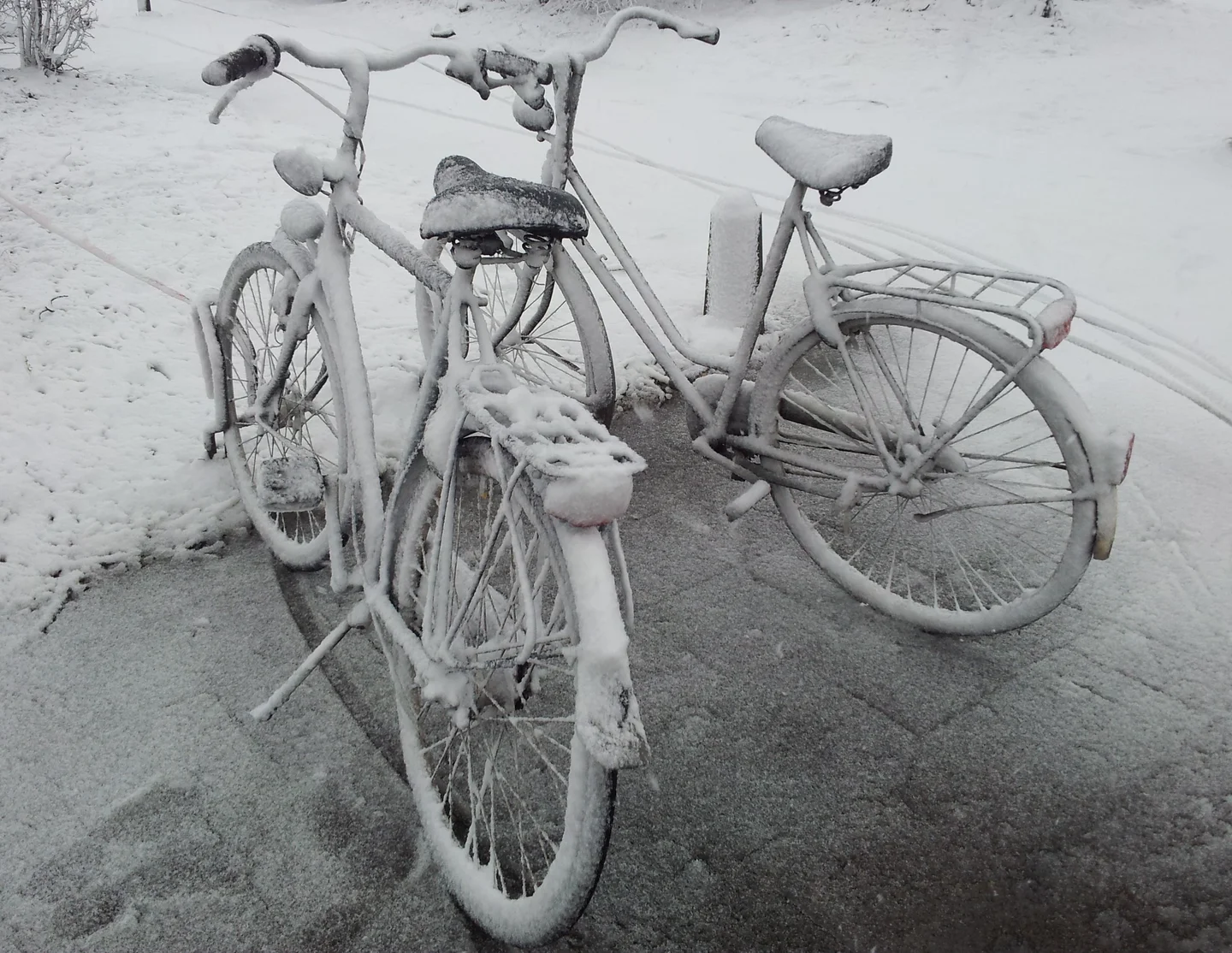 Cycle in snow