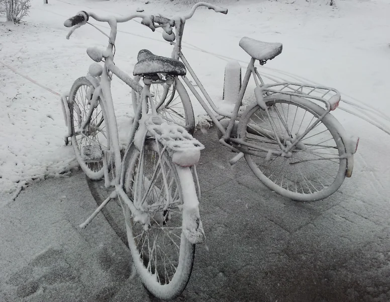 Cycle in snow