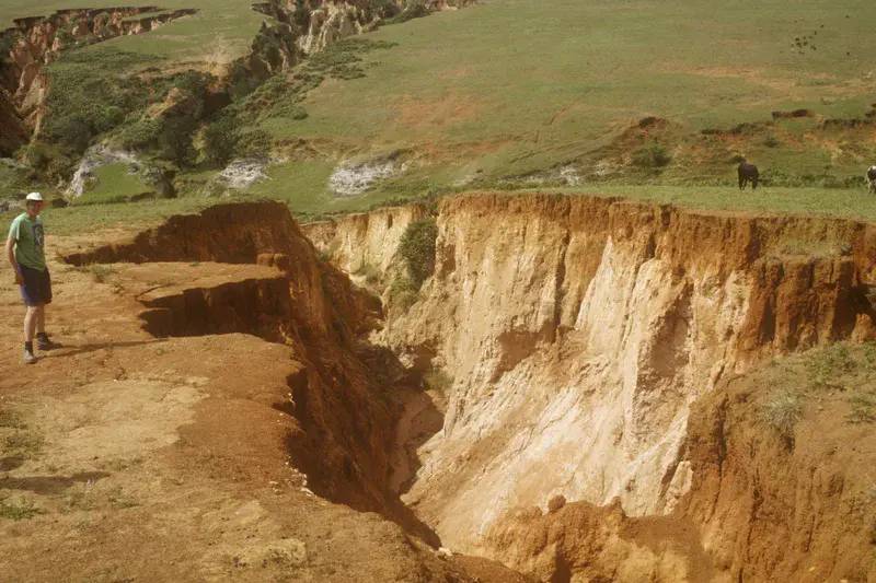 Gully erosion in Swaziland