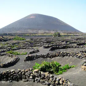 La Geria - Lanzarote Island