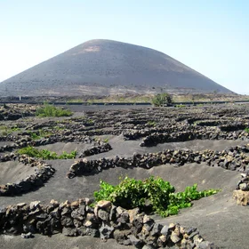 La Geria - Lanzarote Island
