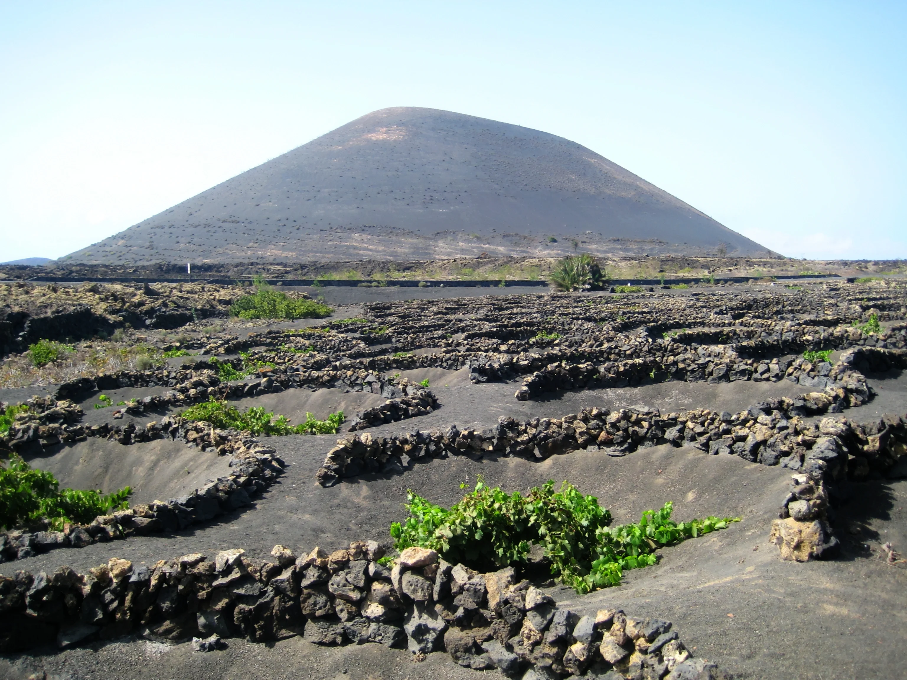 La Geria - Lanzarote Island