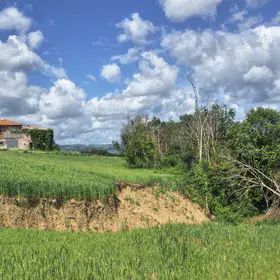 Landslide in the Collazzone Area