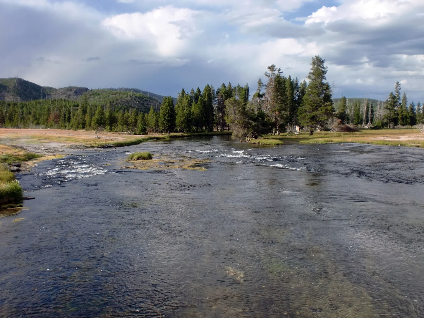 Life in Yellowstone