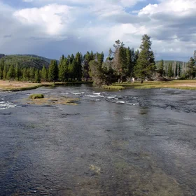Life in Yellowstone