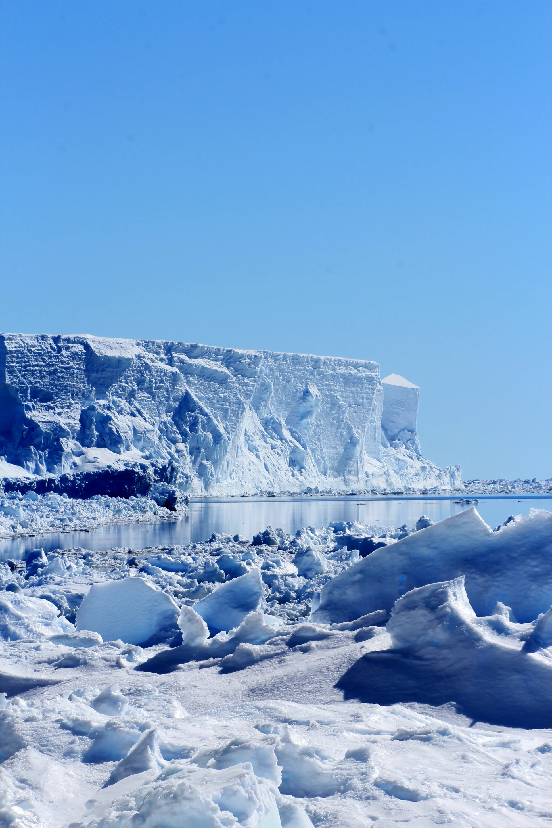 Untouched nature in the Antarctic