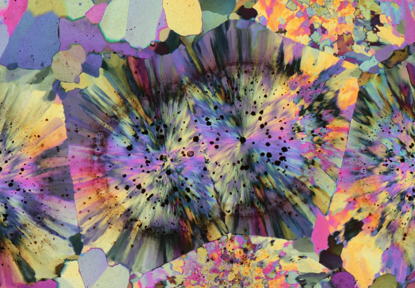 micROCKScopica - Ocean Jasper