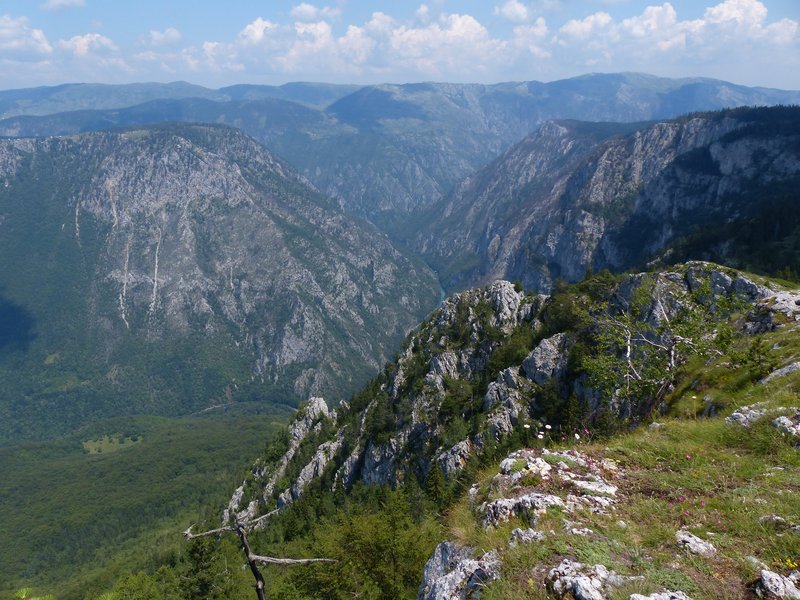Tara canyon, Montenegro