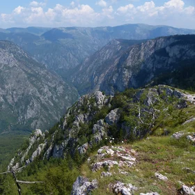 Tara canyon, Montenegro