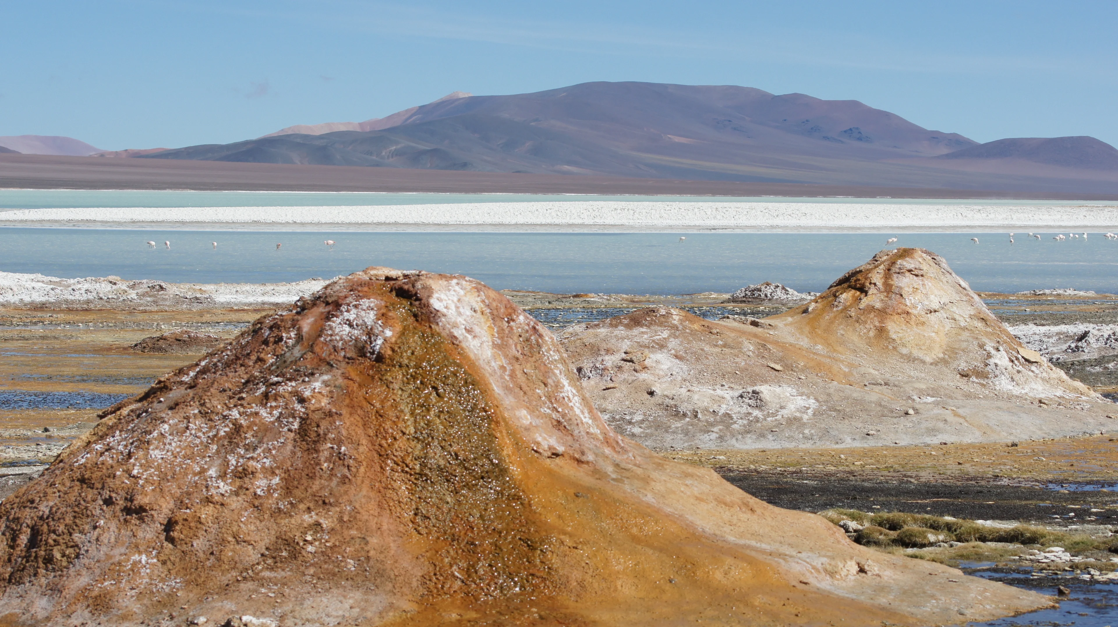 Laguna Brava