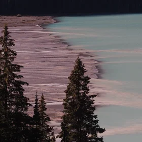 Delta, Peyto Lake