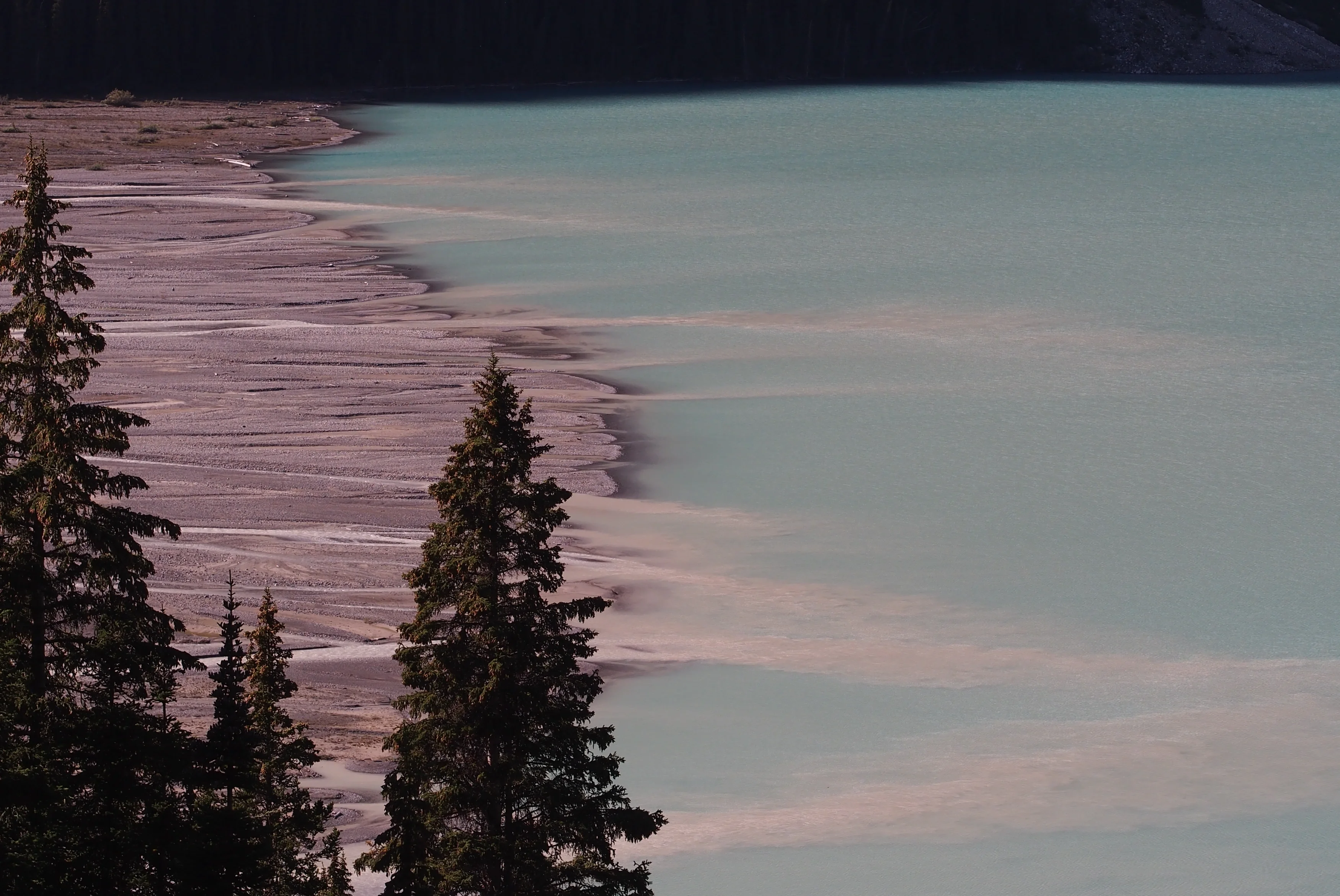 Delta, Peyto Lake