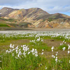 Laugavegur, Iceland